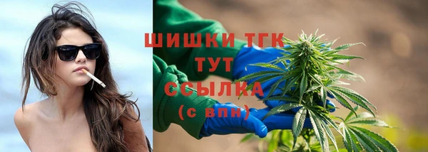 скорость Ельня