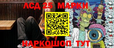 крисы Новозыбков