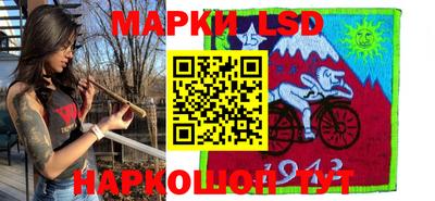 крисы Новозыбков