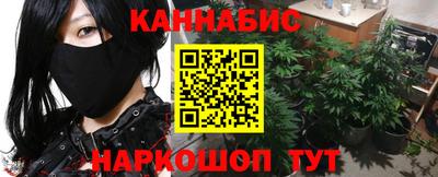крисы Новозыбков