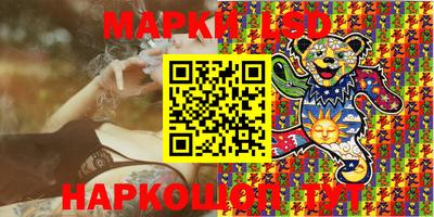 Альфа ПВП Новодвинск
