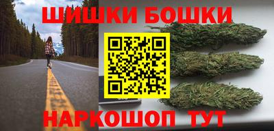 крисы Новозыбков