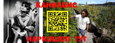 крисы Новозыбков