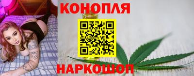 Альфа ПВП Новодвинск