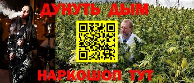 Альфа ПВП Новодвинск