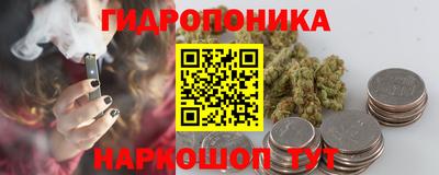 крисы Новозыбков