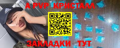крисы Новозыбков