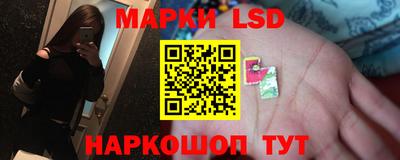 Альфа ПВП Новодвинск