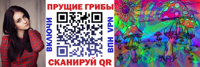 Псилоцибиновые грибы Psilocybine cubensis Псков