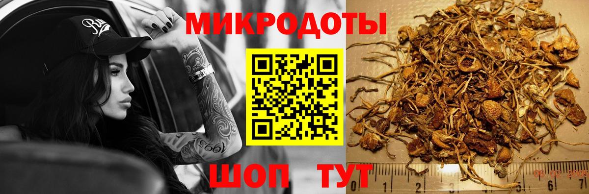 Галлюциногенные грибы Cubensis Псков