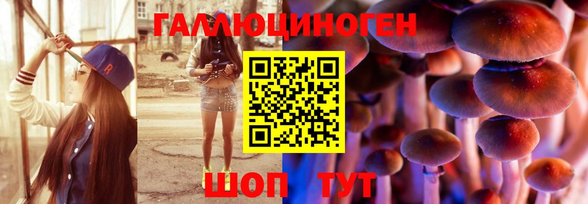 Галлюциногенные грибы Psilocybine cubensis  Галлюциногенные грибы Magic Shrooms  Вход с VPN  цена наркотик  Псков 